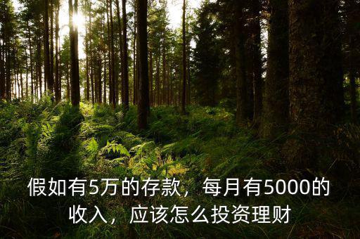 假如有5萬的存款，每月有5000的收入，應(yīng)該怎么投資理財(cái)