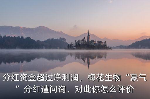 分紅資金超過凈利潤，梅花生物“豪氣”分紅遭問詢，對此你怎么評價
