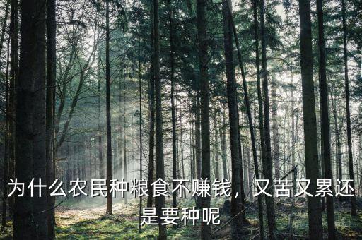 為什么農(nóng)民種糧食不賺錢(qián)，又苦又累還是要種呢