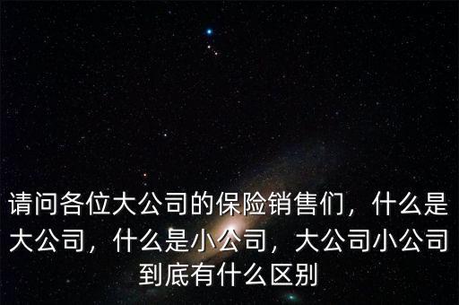 請問各位大公司的保險銷售們，什么是大公司，什么是小公司，大公司小公司到底有什么區(qū)別