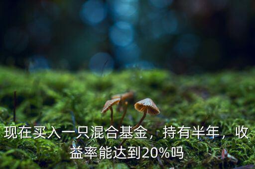 現(xiàn)在買入一只混合基金，持有半年，收益率能達(dá)到20%嗎