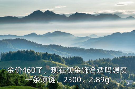 金價(jià)460了，現(xiàn)在買金飾合適嗎想買一條項(xiàng)鏈，2300，2.89g