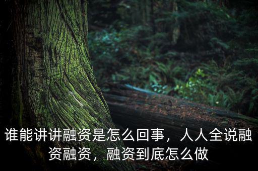 誰能講講融資是怎么回事，人人全說融資融資，融資到底怎么做