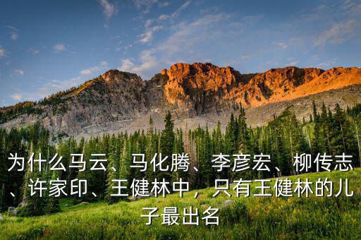 為什么馬云、馬化騰、李彥宏、柳傳志、許家印、王健林中，只有王健林的兒子最出名