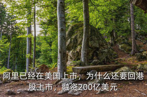 阿里已經(jīng)在美國上市，為什么還要回港股上市，融資200億美元
