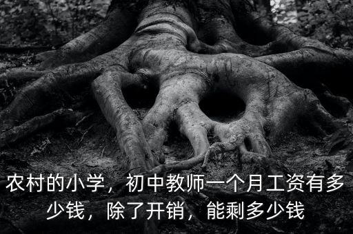 農(nóng)村的小學(xué)，初中教師一個月工資有多少錢，除了開銷，能剩多少錢