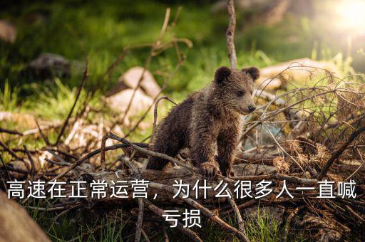 高速在正常運(yùn)營(yíng)，為什么很多人一直喊虧損
