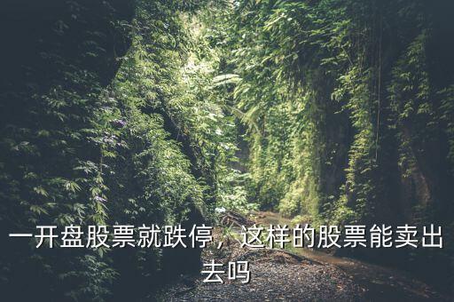一開盤股票就跌停，這樣的股票能賣出去嗎