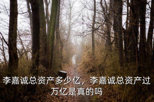 李嘉誠(chéng)總資產(chǎn)多少億，李嘉誠(chéng)總資產(chǎn)過萬億是真的嗎