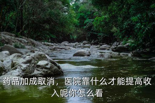 藥品加成取消，醫(yī)院靠什么才能提高收入呢你怎么看