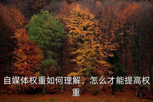 自媒體權(quán)重如何理解，怎么才能提高權(quán)重