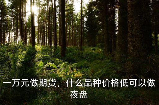 一萬(wàn)元做期貨，什么品種價(jià)格低可以做夜盤(pán)