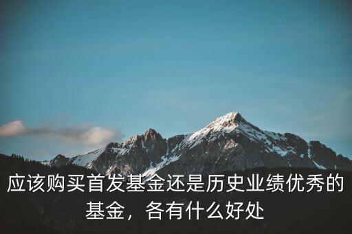 應(yīng)該購買首發(fā)基金還是歷史業(yè)績優(yōu)秀的基金，各有什么好處