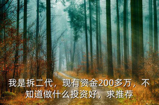我是拆二代，現(xiàn)有資金200多萬，不知道做什么投資好，求推薦