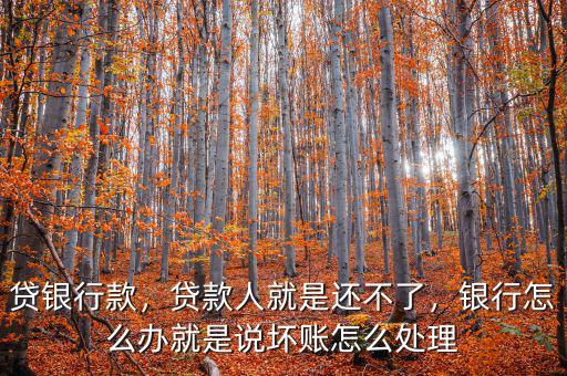 貸銀行款，貸款人就是還不了，銀行怎么辦就是說壞賬怎么處理
