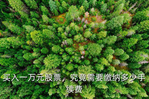 買(mǎi)入一萬(wàn)元股票，究竟需要繳納多少手續(xù)費(fèi)