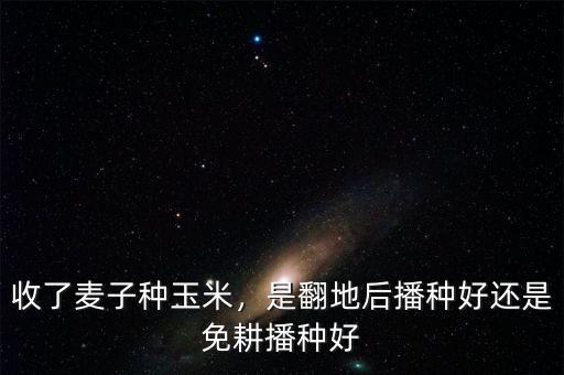 收了麥子種玉米，是翻地后播種好還是免耕播種好
