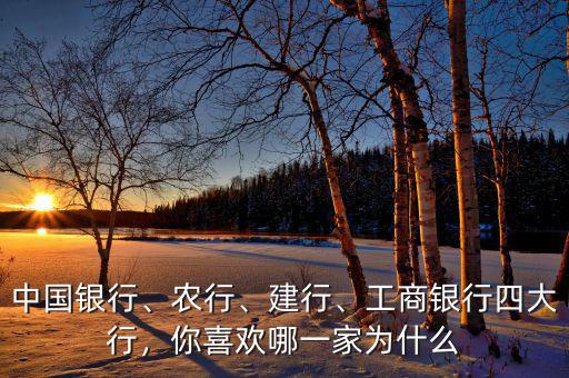 中國(guó)銀行、農(nóng)行、建行、工商銀行四大行，你喜歡哪一家為什么
