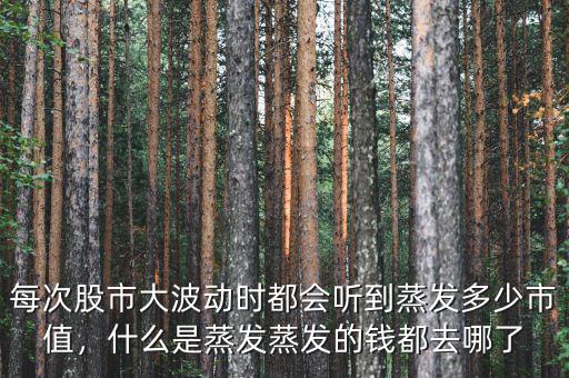 中國(guó)股市蒸發(fā)了多少錢(qián),蒸發(fā)的錢(qián)都去哪了