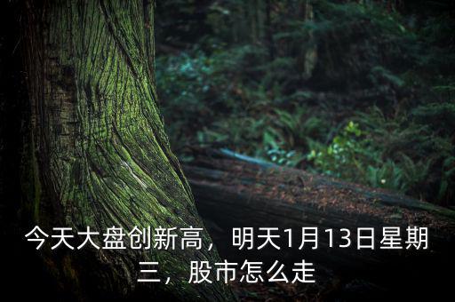 今天大盤創(chuàng)新高，明天1月13日星期三，股市怎么走