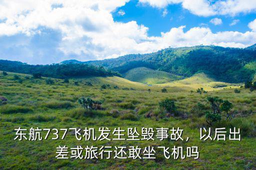 東航737飛機(jī)發(fā)生墜毀事故，以后出差或旅行還敢坐飛機(jī)嗎