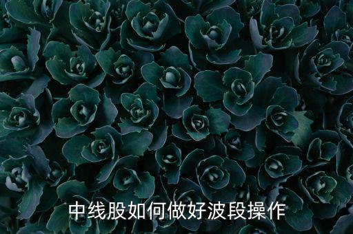 中線(xiàn)股如何做好波段操作