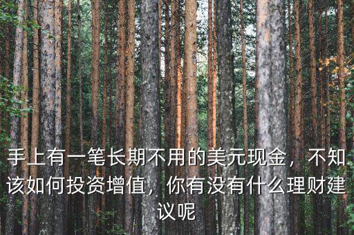 手上有一筆長(zhǎng)期不用的美元現(xiàn)金，不知該如何投資增值，你有沒(méi)有什么理財(cái)建議呢