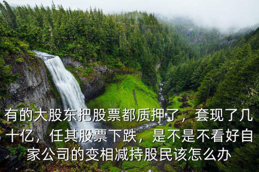 有的大股東把股票都質(zhì)押了，套現(xiàn)了幾十億，任其股票下跌，是不是不看好自家公司的變相減持股民該怎么辦