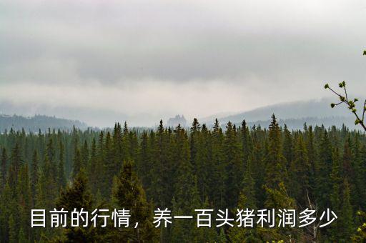 目前的行情，養(yǎng)一百頭豬利潤(rùn)多少