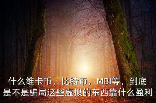 什么維卡幣，比特幣，MBI等，到底是不是騙局這些虛擬的東西靠什么盈利