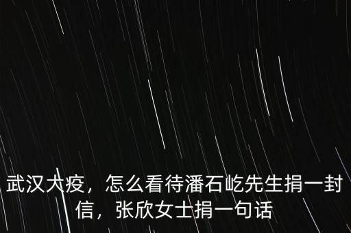 武漢大疫，怎么看待潘石屹先生捐一封信，張欣女士捐一句話