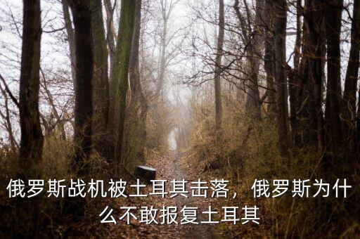 俄羅斯戰(zhàn)機(jī)被土耳其擊落，俄羅斯為什么不敢報(bào)復(fù)土耳其