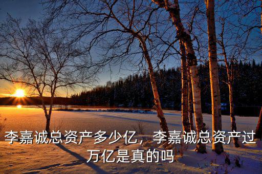 李嘉誠總資產(chǎn)多少億，李嘉誠總資產(chǎn)過萬億是真的嗎