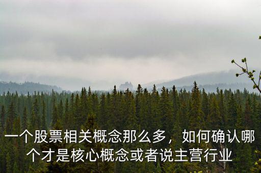 一個(gè)股票相關(guān)概念那么多，如何確認(rèn)哪個(gè)才是核心概念或者說(shuō)主營(yíng)行業(yè)