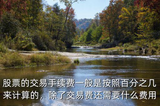 股票的交易手續(xù)費(fèi)一般是按照百分之幾來計(jì)算的，除了交易費(fèi)還需要什么費(fèi)用