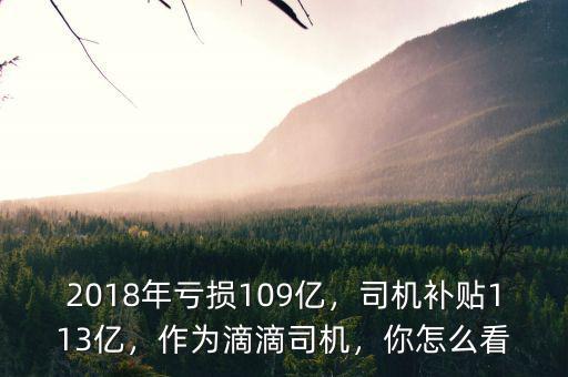 2018年虧損109億，司機(jī)補(bǔ)貼113億，作為滴滴司機(jī)，你怎么看