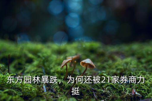 東方園林暴跌，為何還被21家券商力挺