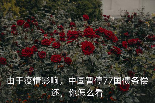 由于疫情影響，中國暫停77國債務(wù)償還，你怎么看