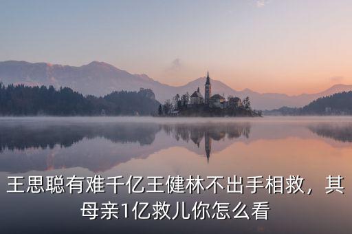 王思聰有難千億王健林不出手相救，其母親1億救兒你怎么看