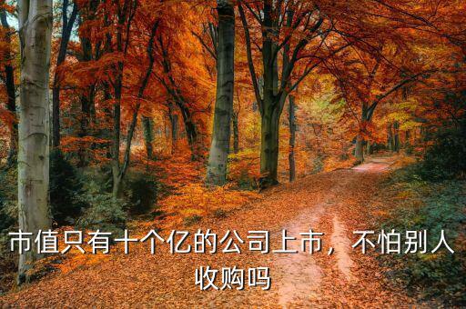 市值只有十個(gè)億的公司上市，不怕別人收購(gòu)嗎