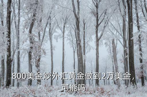 800美金炒外匯黃金做到2萬(wàn)美金，可能嗎