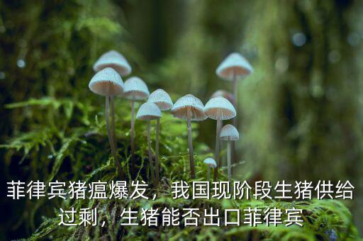 菲律賓豬瘟爆發(fā)，我國(guó)現(xiàn)階段生豬供給過剩，生豬能否出口菲律賓