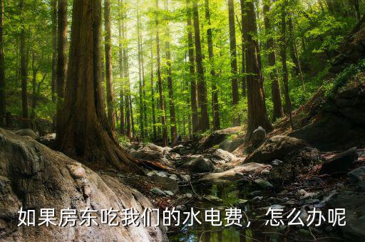 如果房東吃我們的水電費(fèi)，怎么辦呢