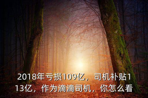 2018年虧損109億，司機補貼113億，作為滴滴司機，你怎么看