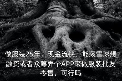 做服裝25年，現(xiàn)金流快，能滾雪球想融資或者眾籌弄個APP來做服裝批發(fā)零售，可行嗎