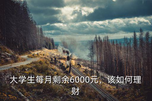 大學(xué)生每月剩余6000元，該如何理財(cái)