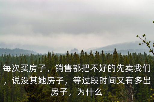 每次買房子，銷售都把不好的先賣我們，說沒其她房子，等過段時間又有多出房子，為什么