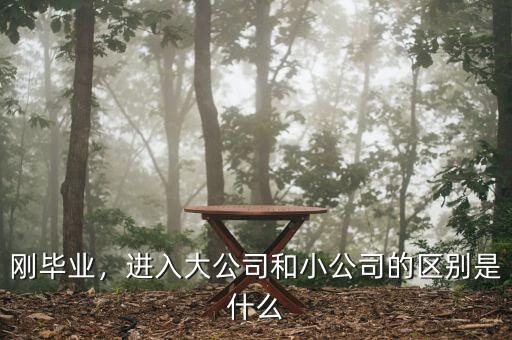 剛畢業(yè)，進(jìn)入大公司和小公司的區(qū)別是什么