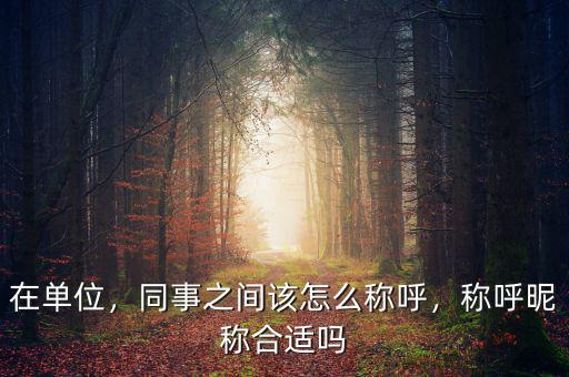 在單位，同事之間該怎么稱呼，稱呼昵稱合適嗎