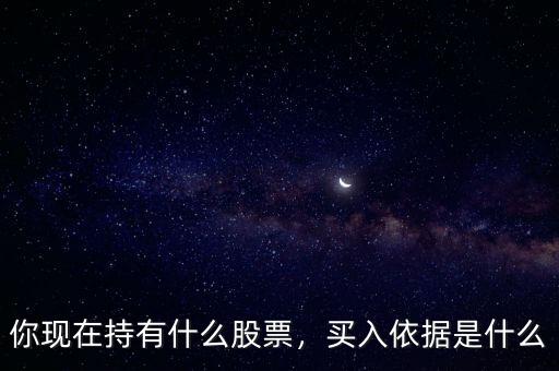 你現(xiàn)在持有什么股票，買入依據(jù)是什么